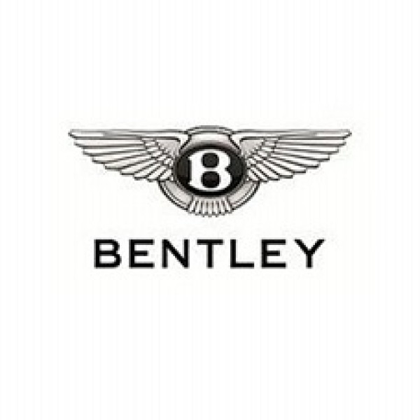 Bentley ORIGINAL ECU dumps
